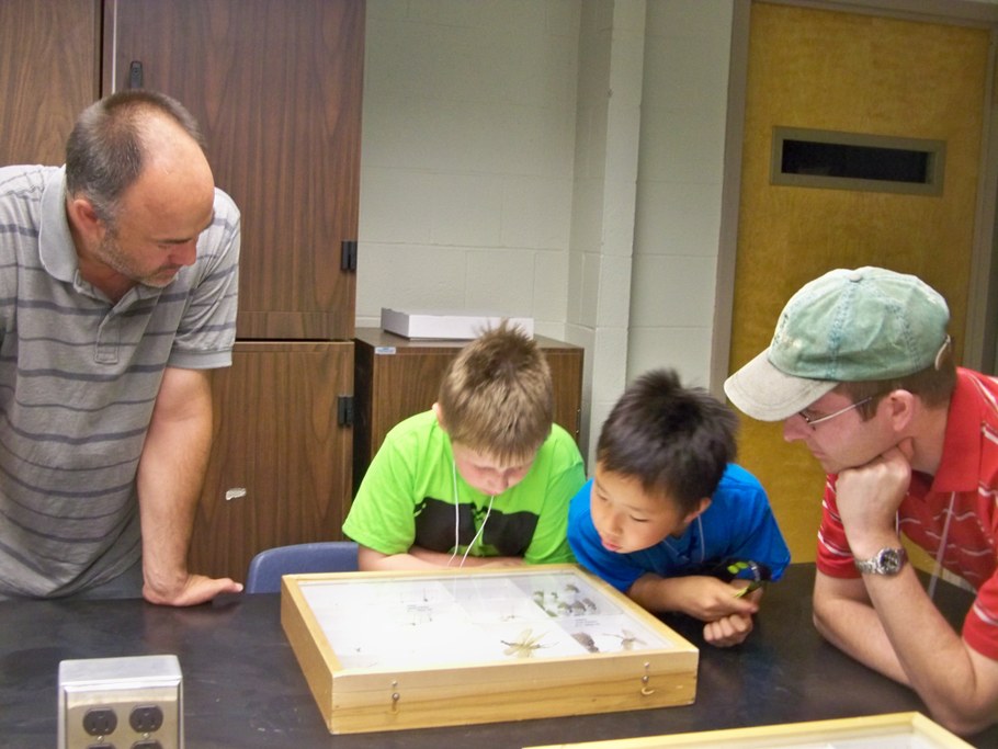 Bug Camp 2014
