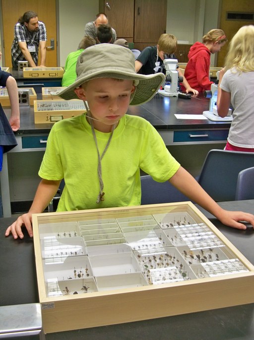 Bug Camp 2014