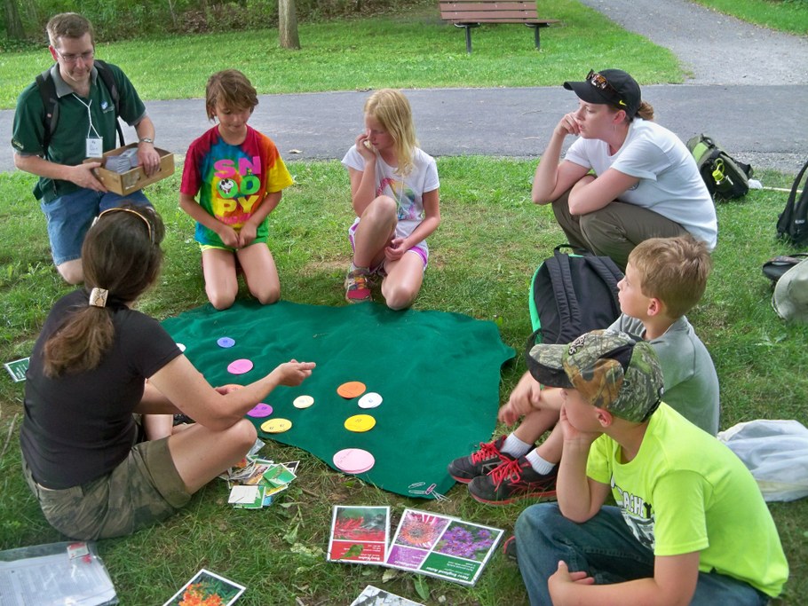 Bug Camp 2014