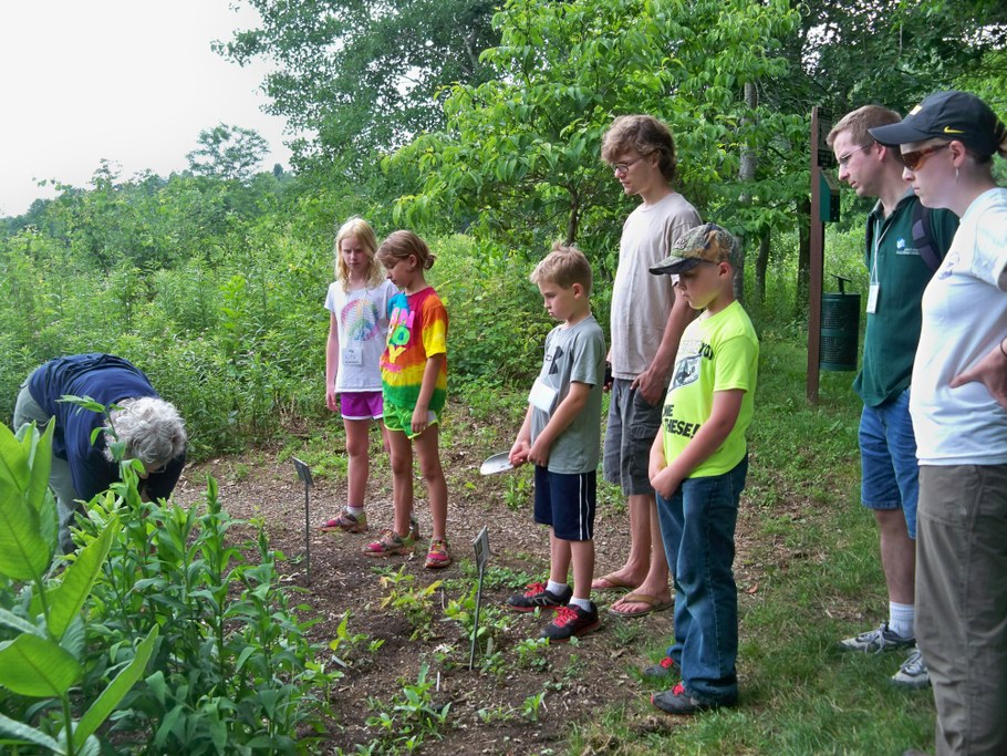 Bug Camp 2014