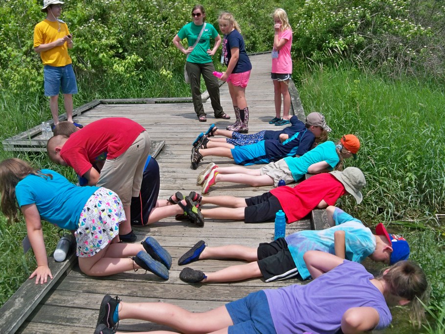 Bug Camp 2014