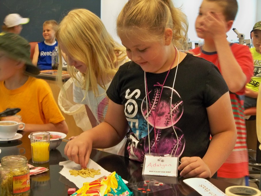 Bug Camp 2014