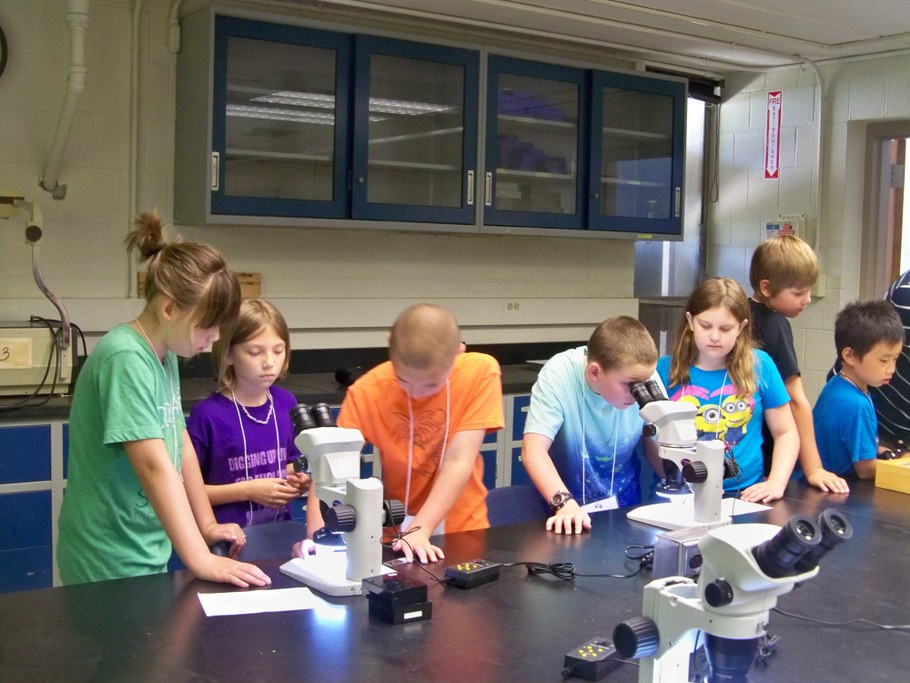 Bug Camp 2014