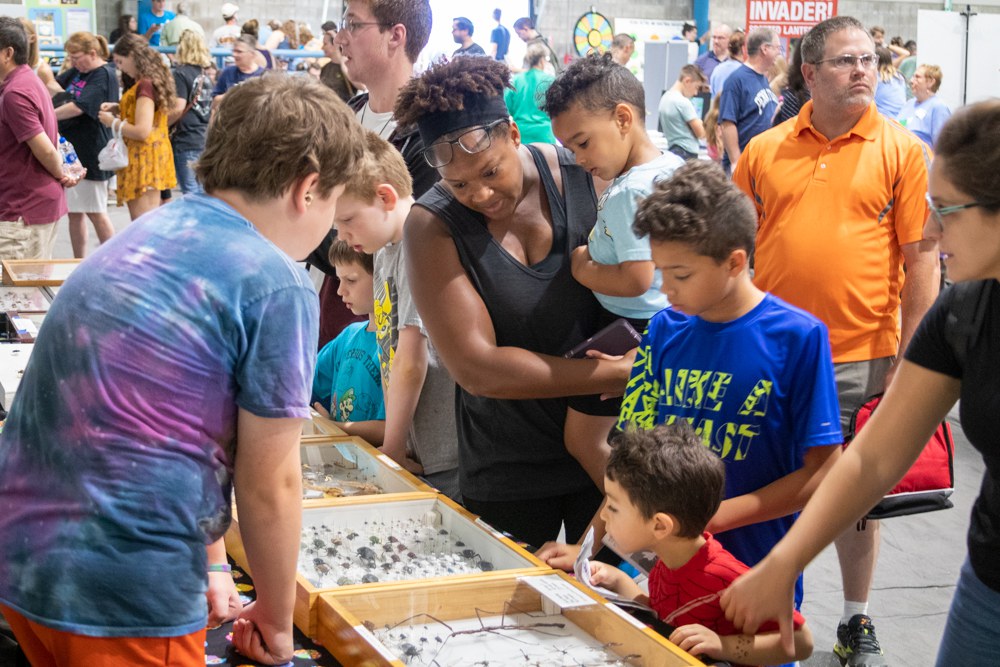 The Great Insect Fair — Extension and Outreach — Department of Entomology