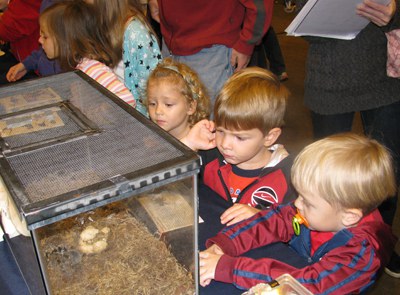 Children enjoying insect zoo