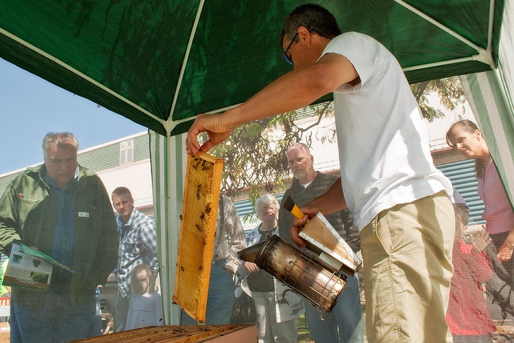 Albert Rozo talks about bee hives and bee keeping outside the Ag Arena during the Great Insect Fair.  Photo by Nick Sloff
