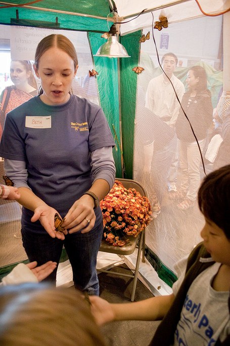 Graduate Student Beth Irwin talks about butterflies to youngsters in the butterfly tent. Photo by Nick Sloff