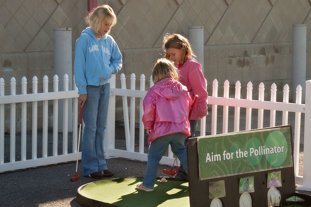 Hannah, Maya, and Erin enjoy a round of mini golf at the Integrated Pest Management/Pesticide Safety Putt Putt course. Photo by Nick Sloff