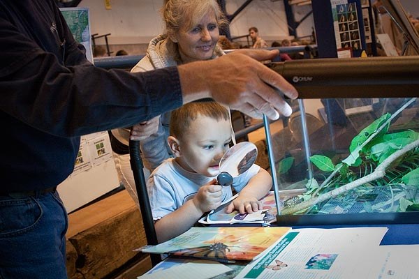 A mother and son enjoy displays at the 18th annual Great Insect Fair. Photograph by Nick Sloff