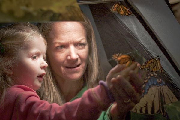 A mother and daughter enjoy the Butterfly Tent at the 18th annual Great Insect Fair. Photograph by Nick Sloff