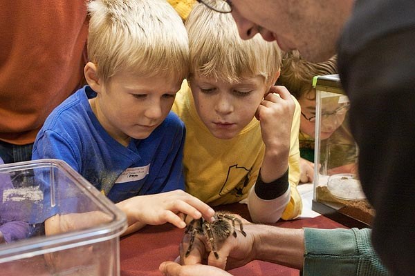Nicholas & Everest pet a tarantula at the Insect Zoo. Photograph by Nick Sloff