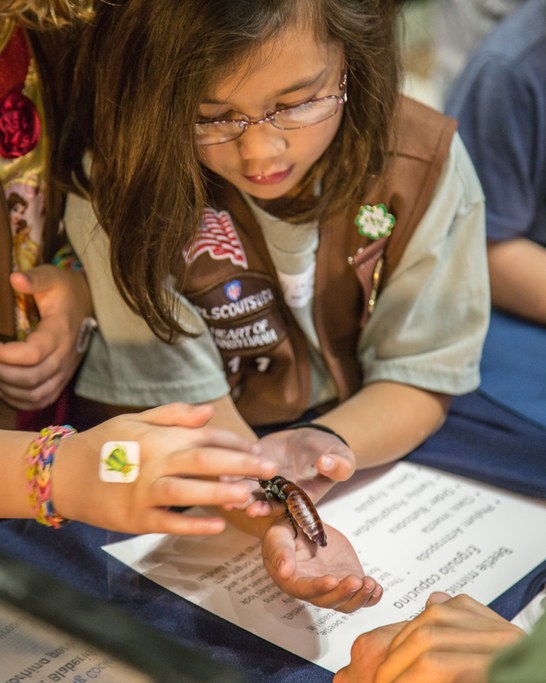 The Insect Zoo