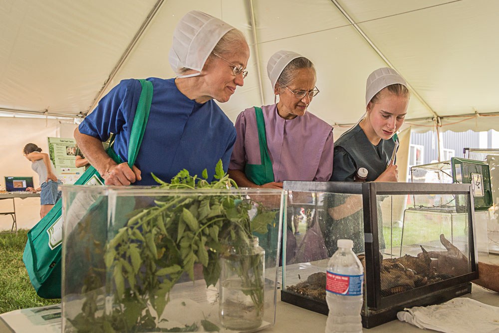 The Great Insect Fair at Ag Progress Days
