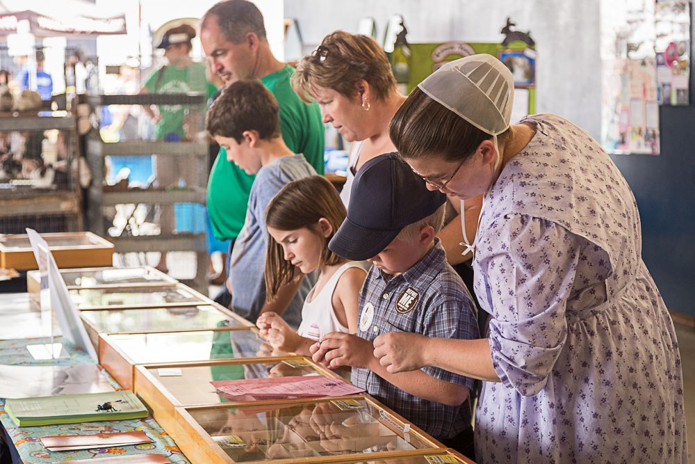 The Great Insect Fair at Ag Progress Days