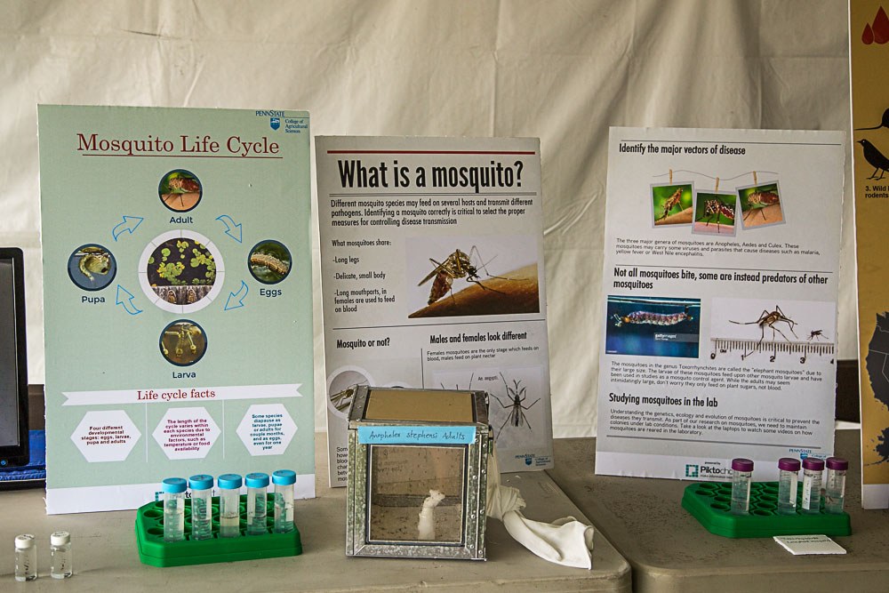 The Great Insect Fair at Ag Progress Days