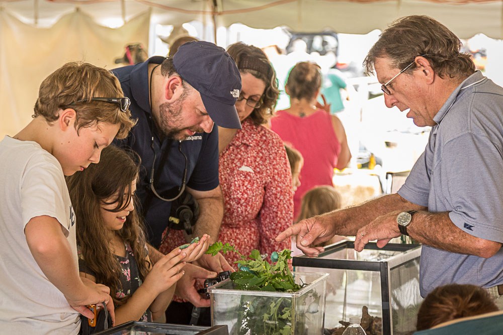 The Great Insect Fair at Ag Progress Days