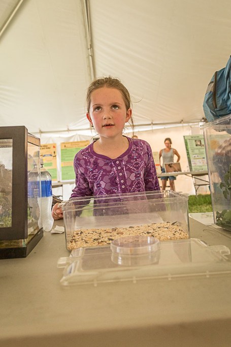 The Great Insect Fair at Ag Progress Days
