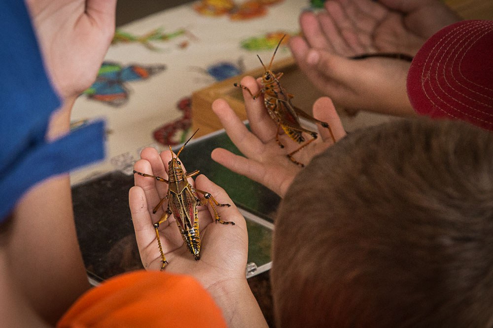 The Great Insect Fair at Ag Progress Days