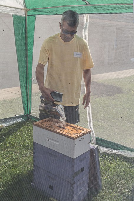 2016 Great Insect Fair