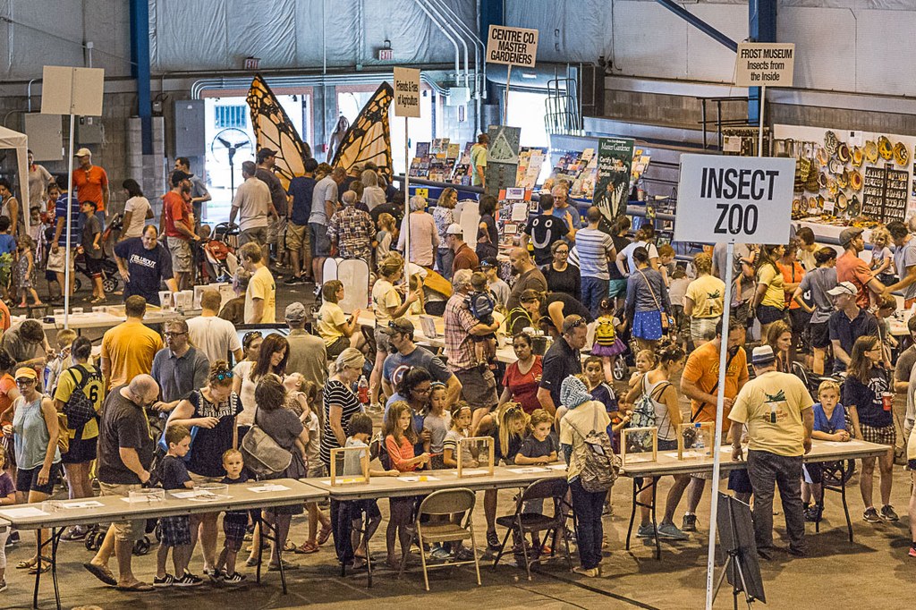 2016 Great Insect Fair