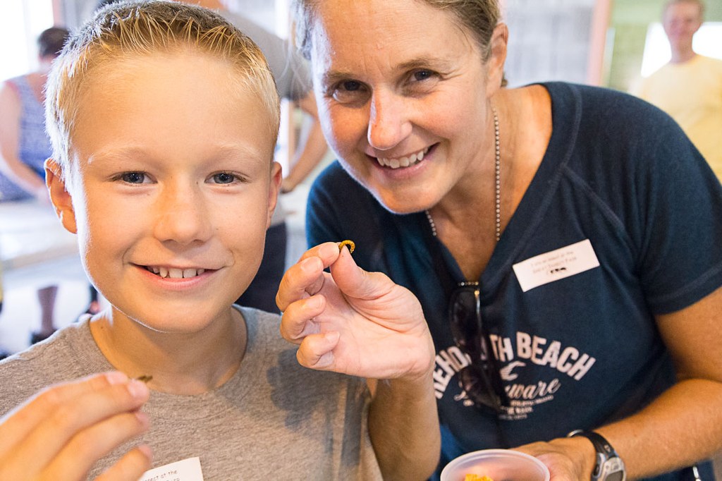 2016 Great Insect Fair