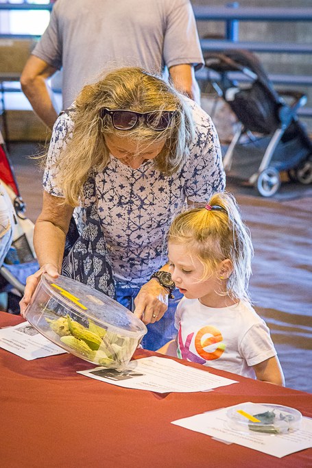 2016 Great Insect Fair
