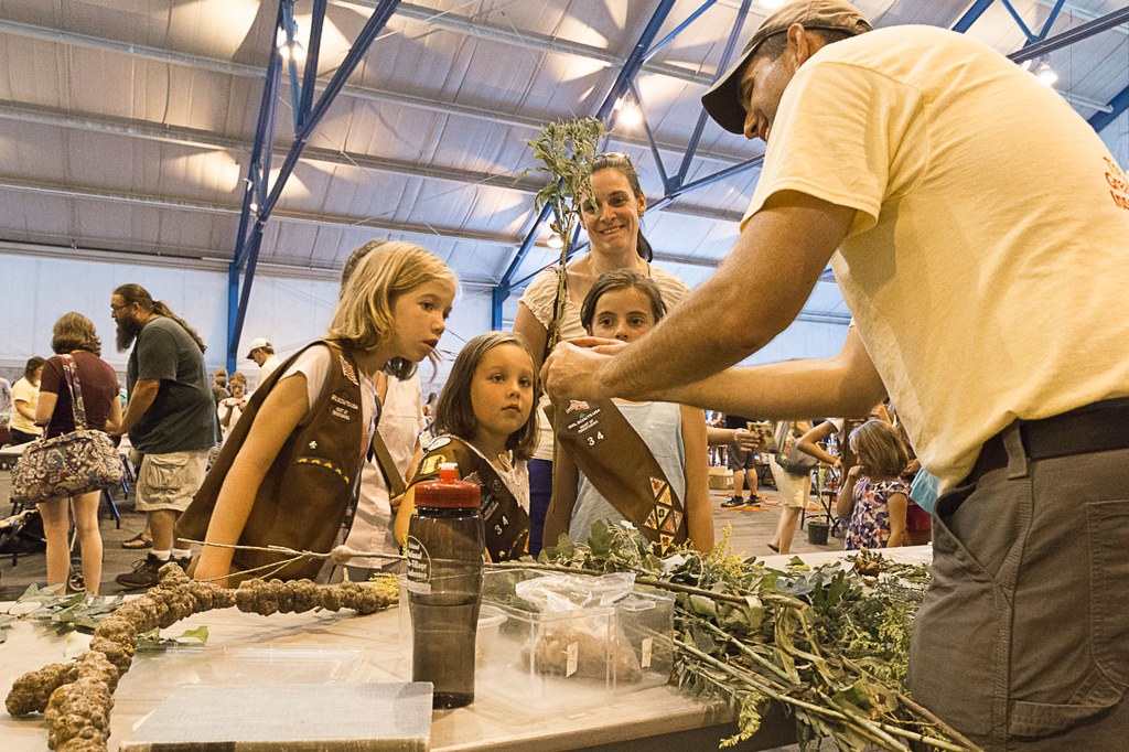 2016 Great Insect Fair