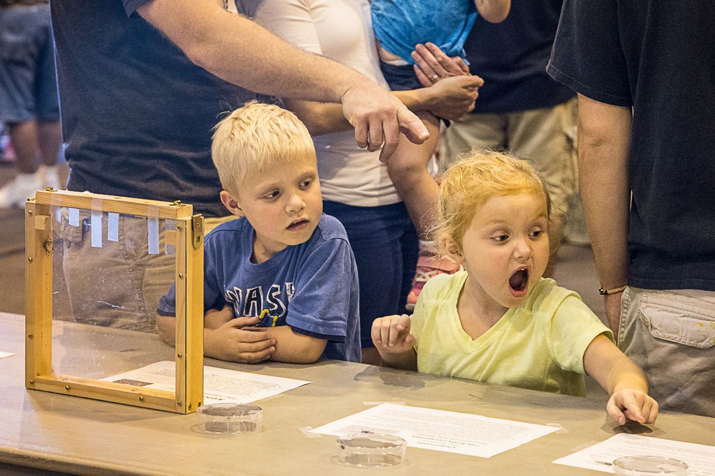 2016 Great Insect Fair