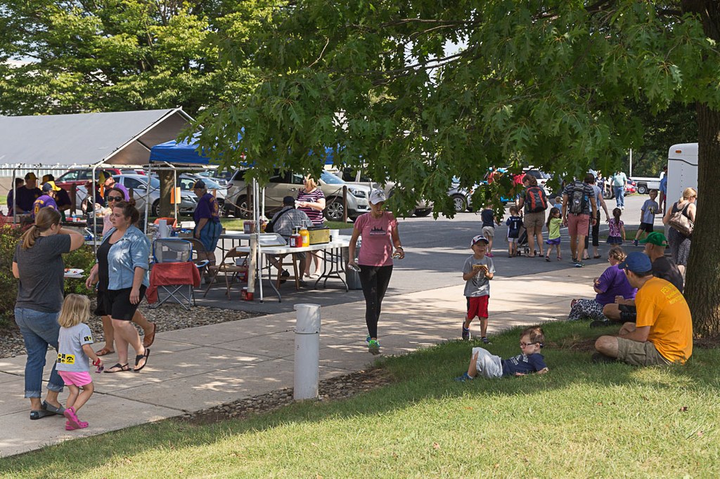 2016 Great Insect Fair