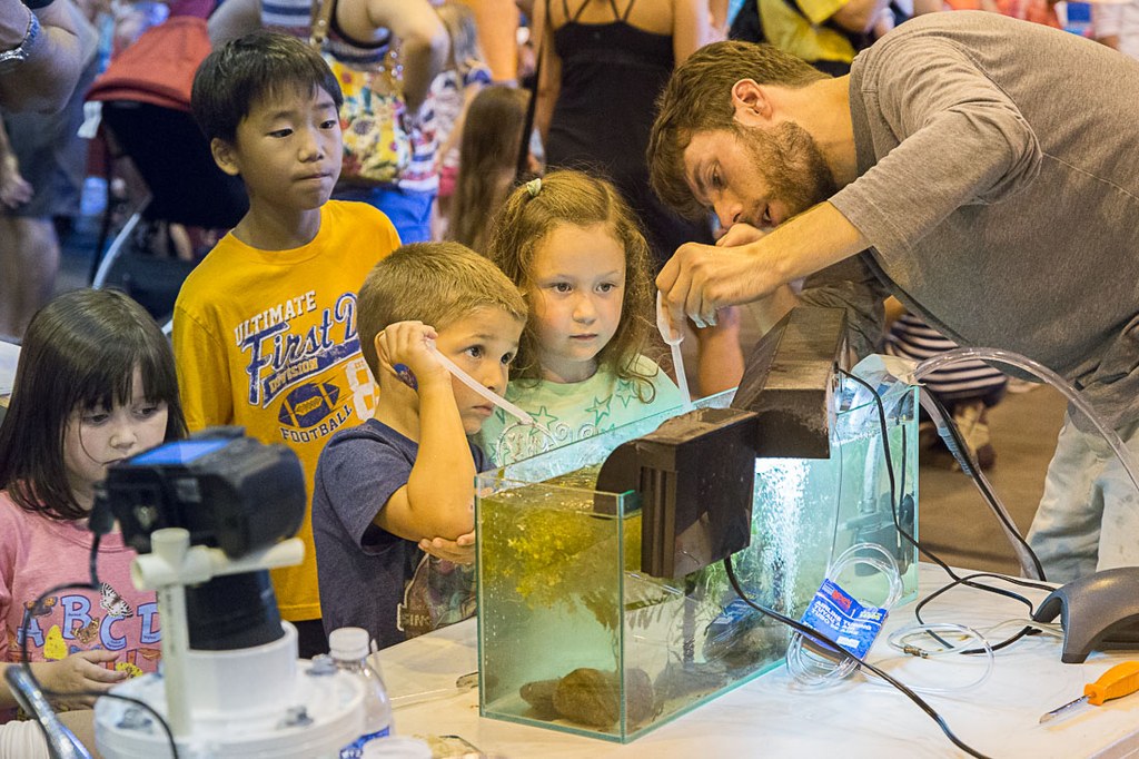 2016 Great Insect Fair