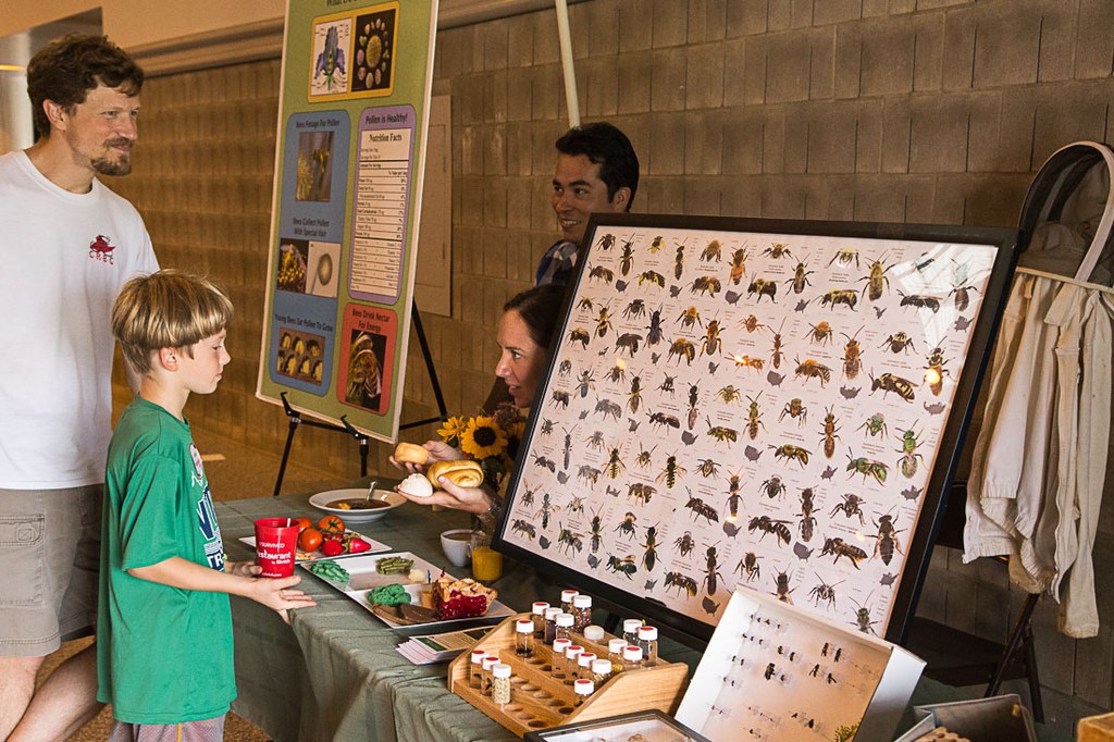 2016 Great Insect Fair