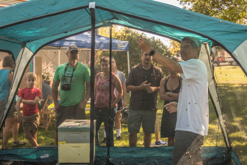2017 Great Insect Fair