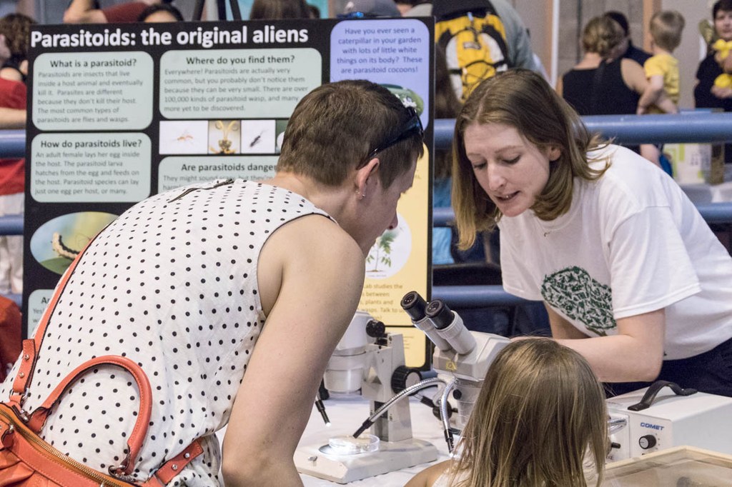 2017 Great Insect Fair
