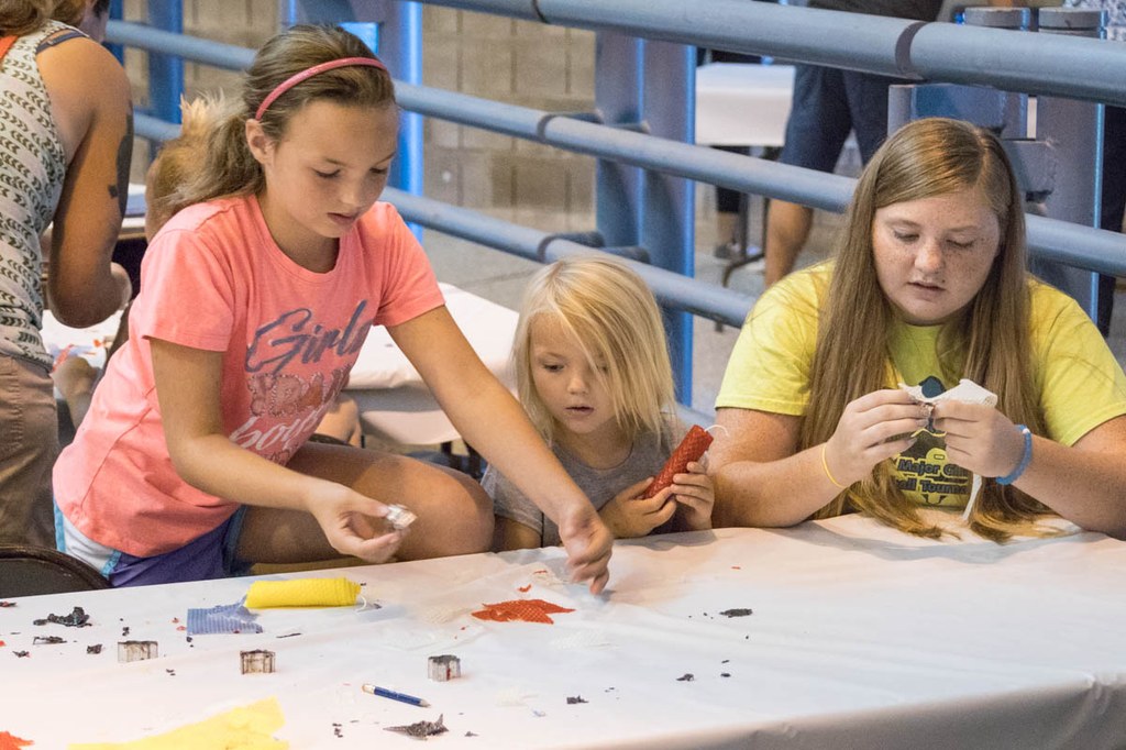 2017 Great Insect Fair