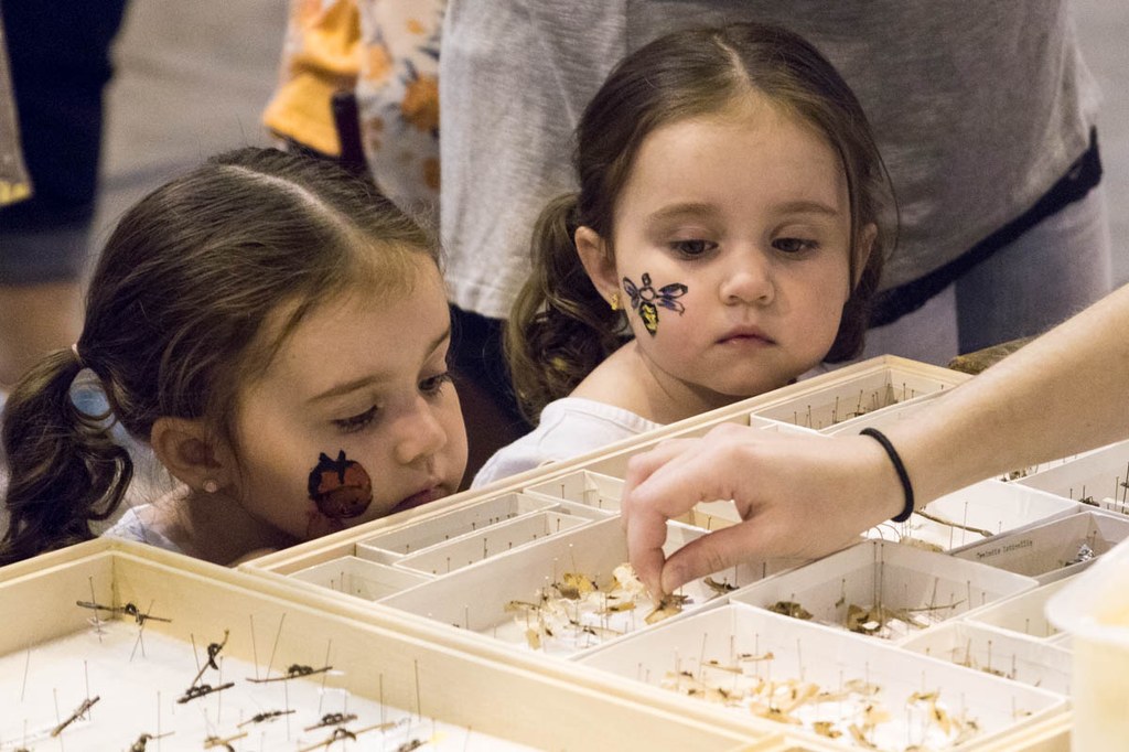 2017 Great Insect Fair