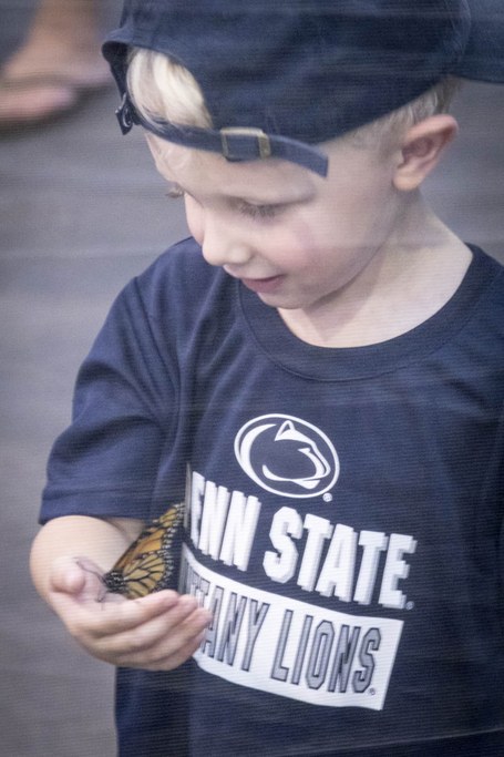 2017 Great Insect Fair