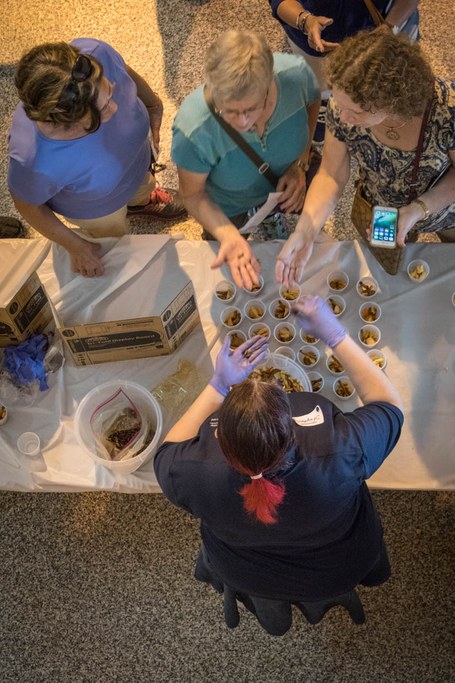 2017 Great Insect Fair