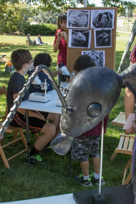 2017 Great Insect Fair