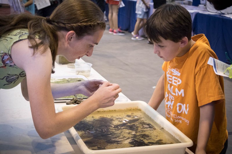 Learning about aquatic insects