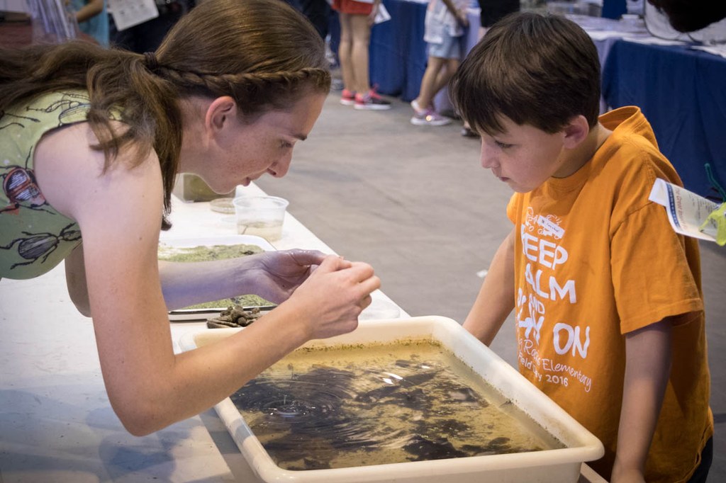 2017 Great Insect Fair