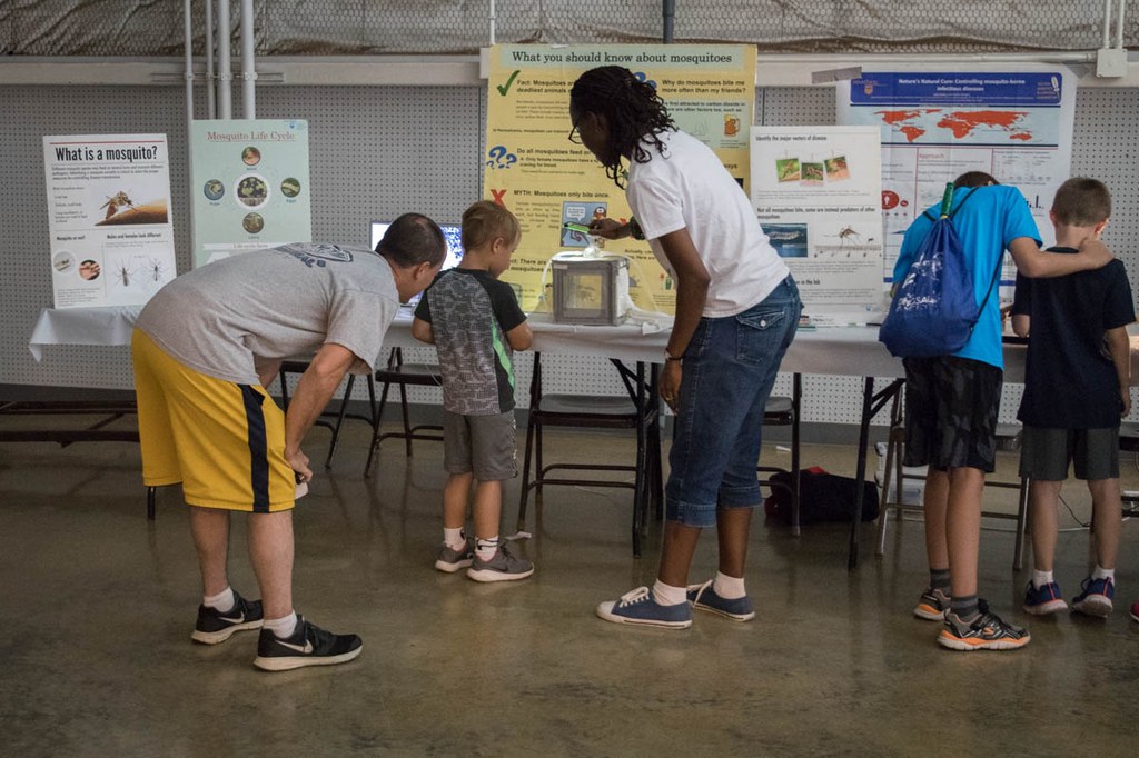 2017 Great Insect Fair