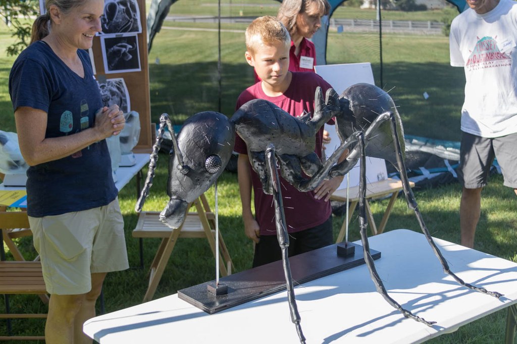 2017 Great Insect Fair