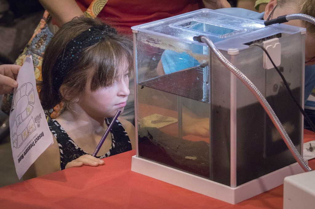 2017 Great Insect Fair