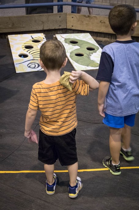 2017 Great Insect Fair
