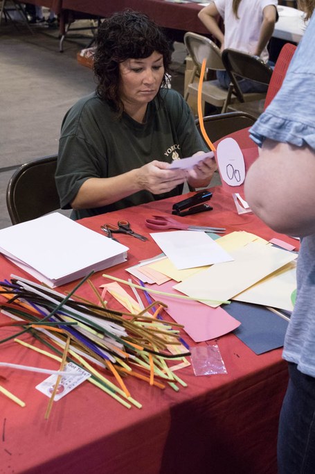 2017 Great Insect Fair