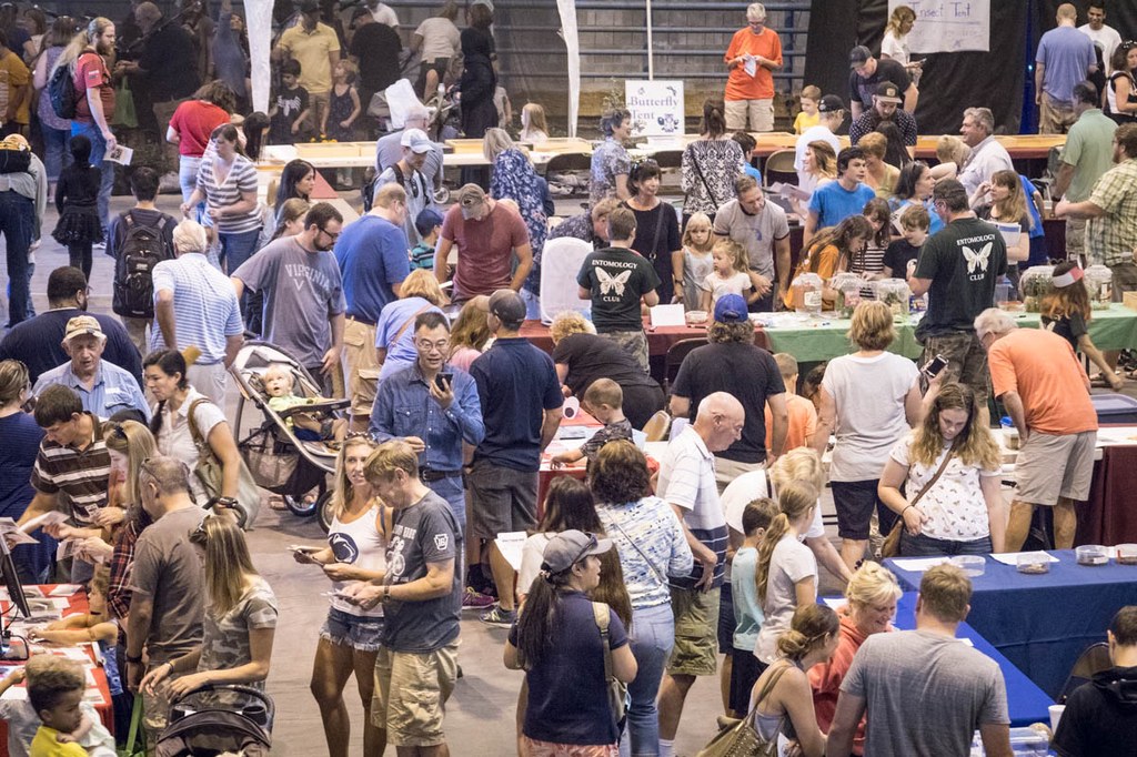 2017 Great Insect Fair