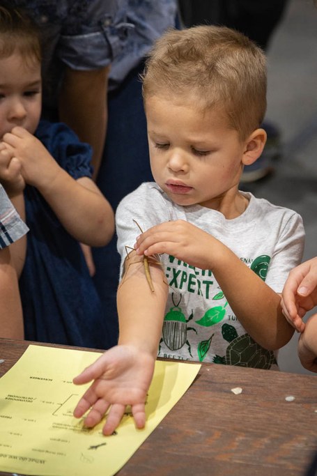 2018 Great Insect Fair