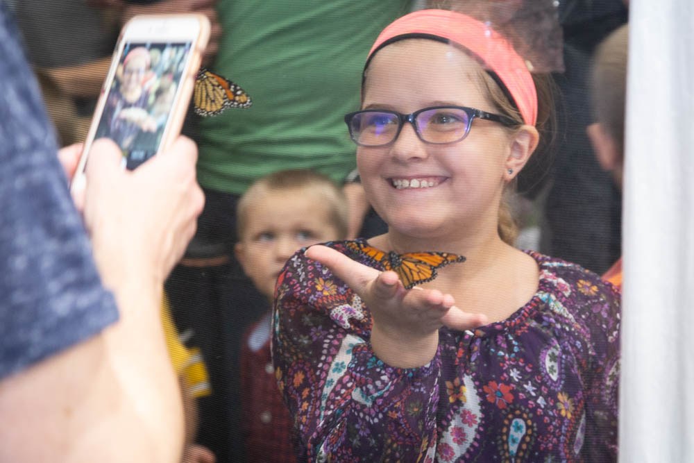 2018 Great Insect Fairi