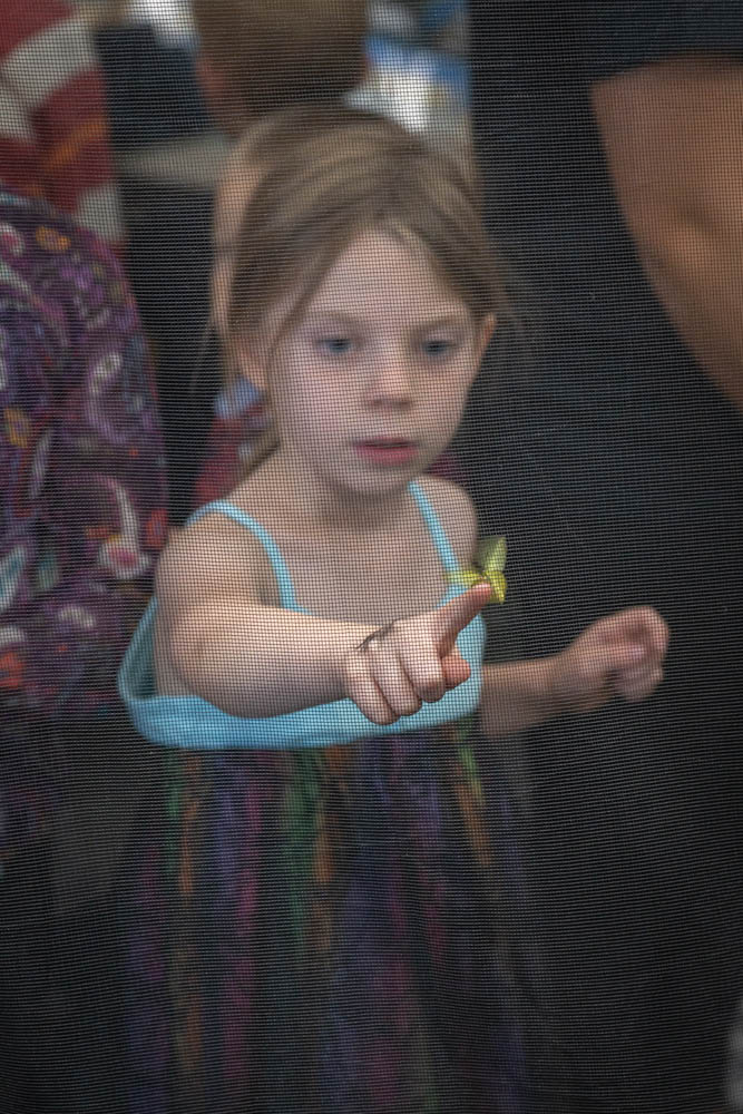 Inside the butterfly tent