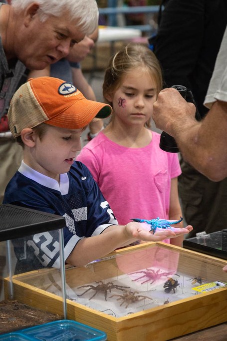 Children and adults enjoy displays at the annual Great Insect Fair